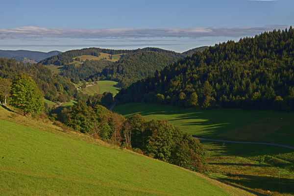 Im Südschwarzwald