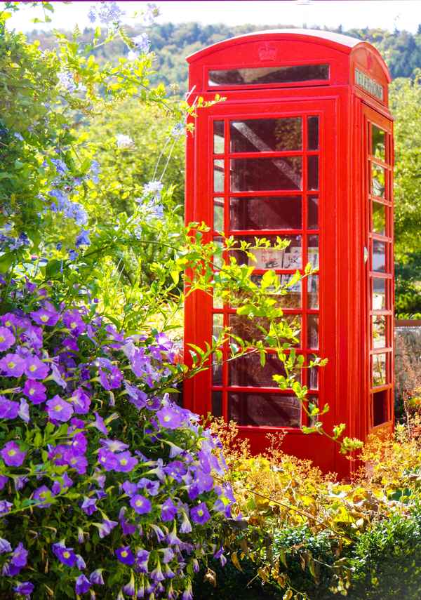 Ruf mal an Gartenfreund