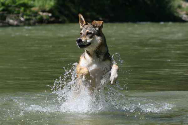 Im Element Wasser
