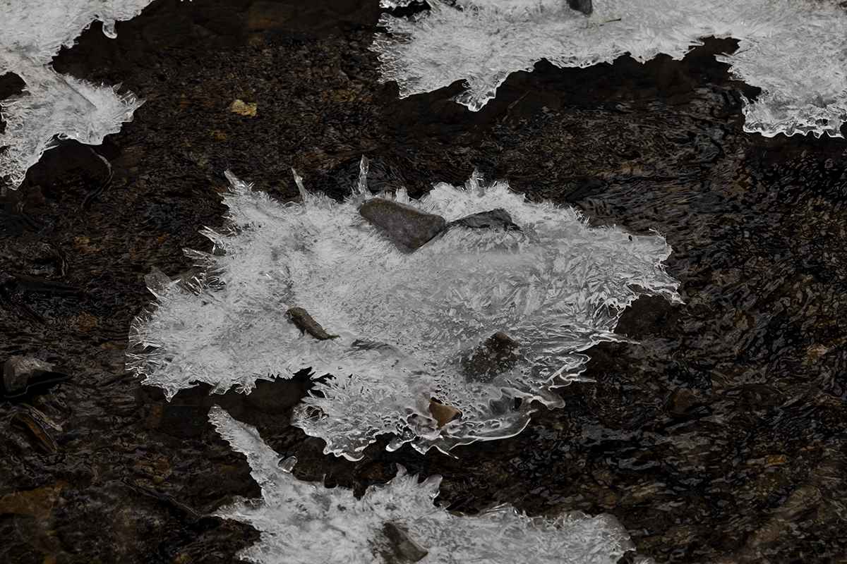Es wird immer frostiger