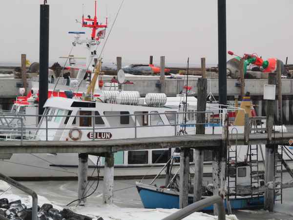 Winterpause am Hafen Steenodde
