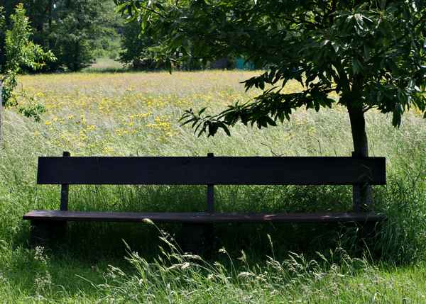 ruhebank am wiesenrand