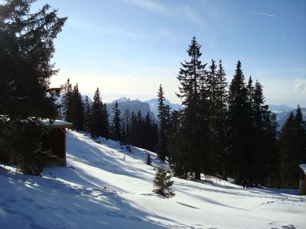 Fernblick