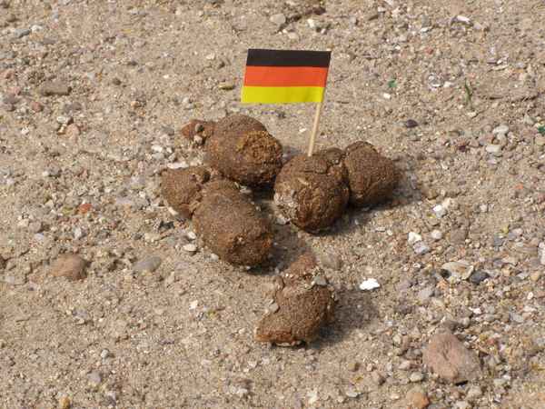 Nachtrag zur EM 2008