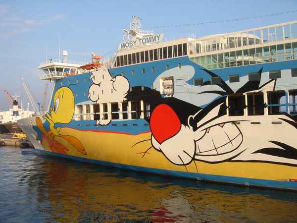 Kater Tom auf der Jagd