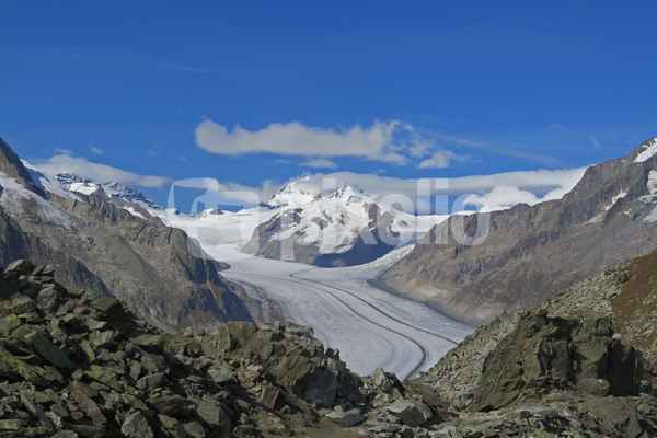 Eismassen vereinigen sich zum Aletschgletscher