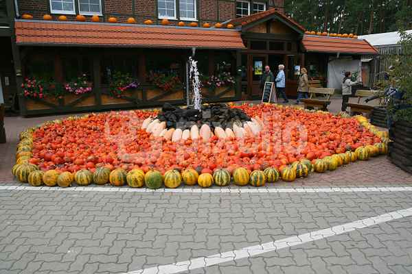 Kürbisbrunnen
