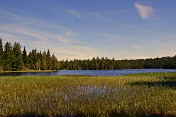 Der Etang de la Gruère