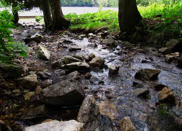 Quellfluss-Einlauf am Feldsee