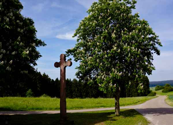 Wanderweg am Steinernen Kreuz