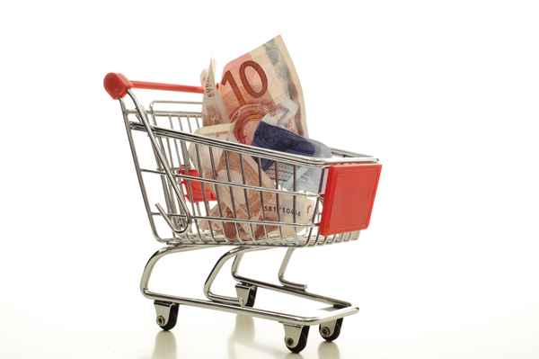 Einkaufswagen mit Geldscheinen
