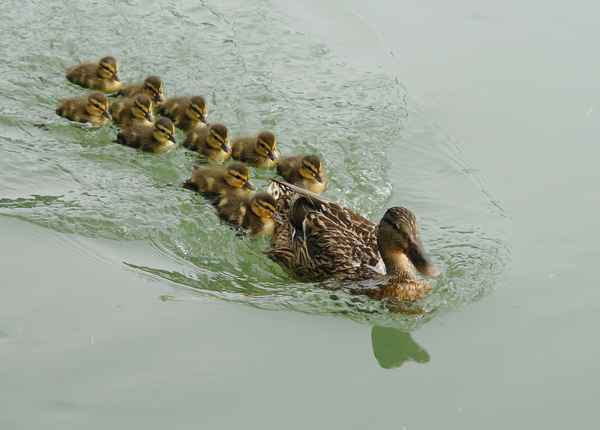 Erste Reise mit Mamma