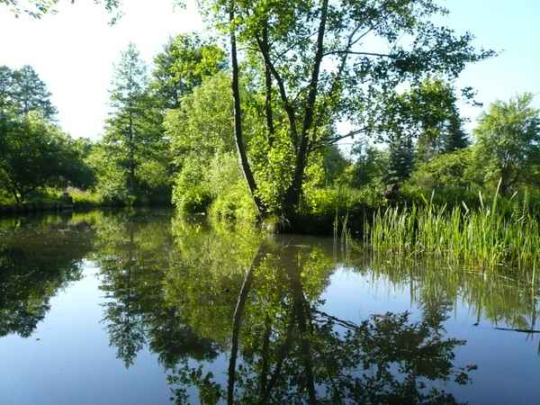 Spiegelungen im Wasser