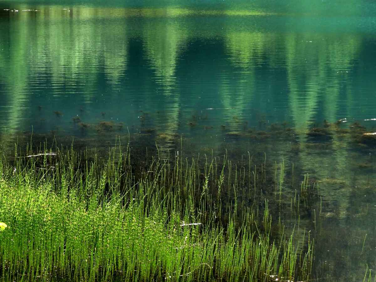 Brennersee