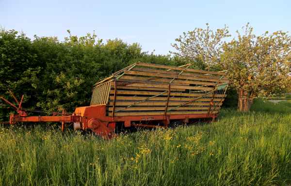 Alter Heuwagen
