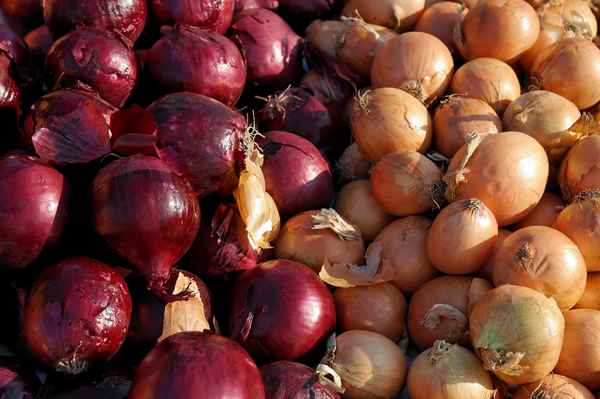 scharf und gesund