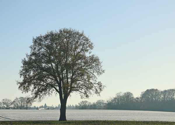 ein bischen frostig 2