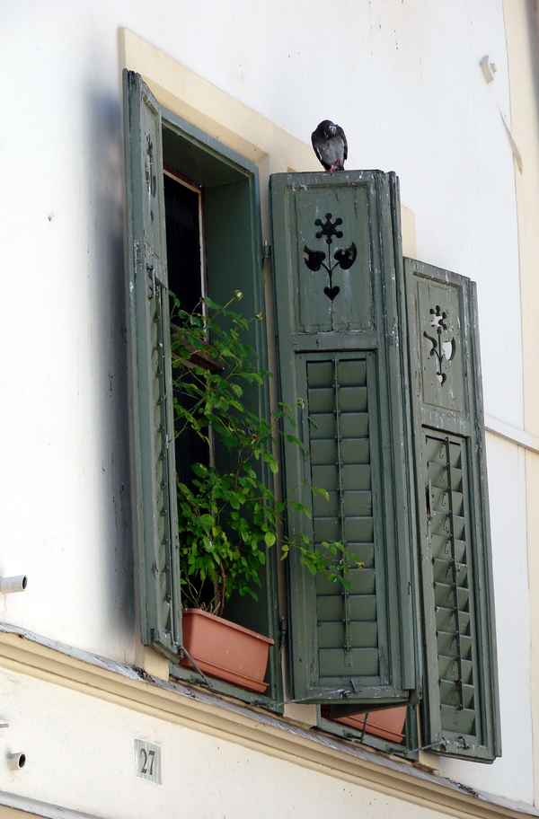 schmale Fenster