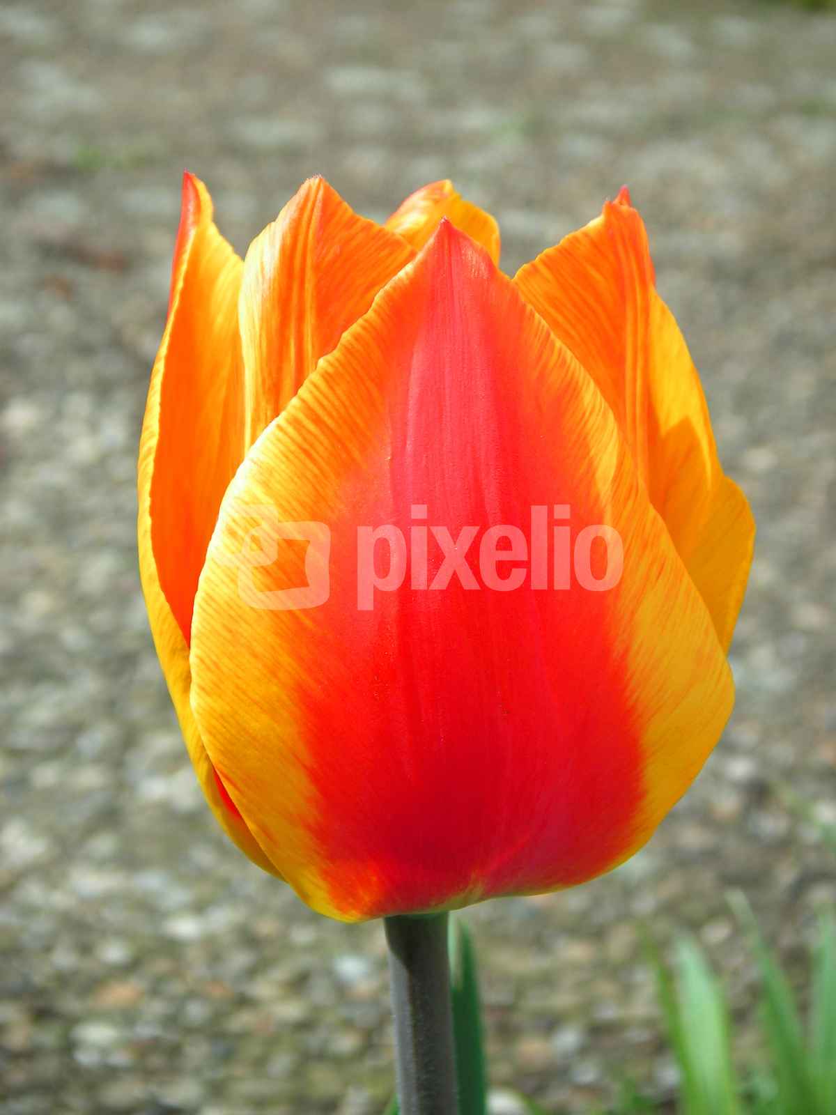 Was für Farben!
