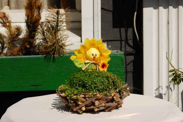 sonnige Frühlingsgrüße aus dem Bergischen Land