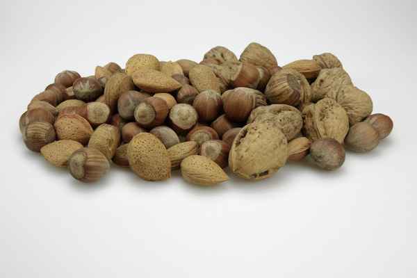 Nüsse, Nuss, Nussfrucht, Haselnüsse, Walnüsse, Mandeln