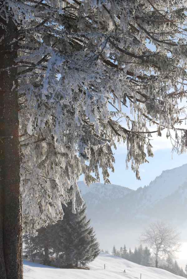 Wintersport in Oberstaufen / Steibis