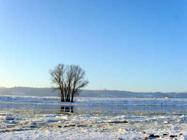 Elbe Wintermorgen 2009 - Minus 21 Grad