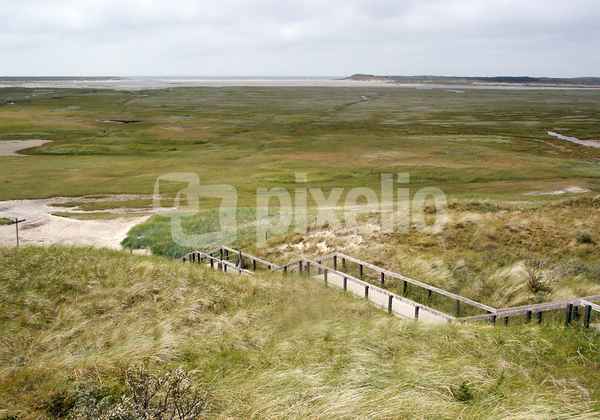 Schwemmland (4)
