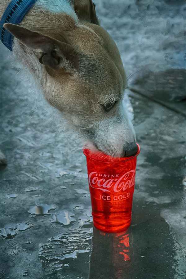 jetzt  ´ne eiskalte Cola!