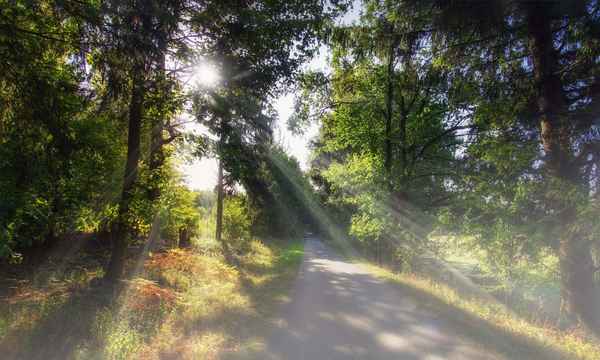 Morgens wenn die Sonn&acute; aufgeht