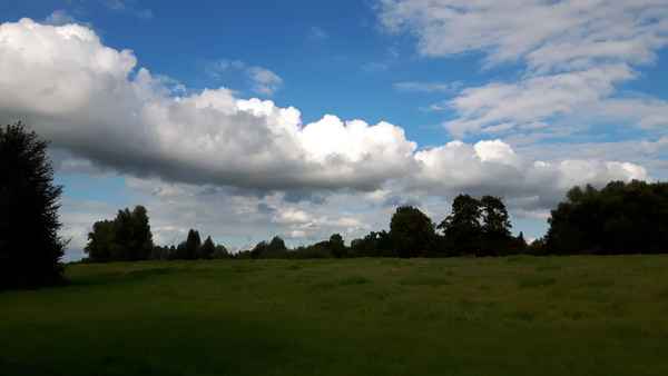 In freier Natur