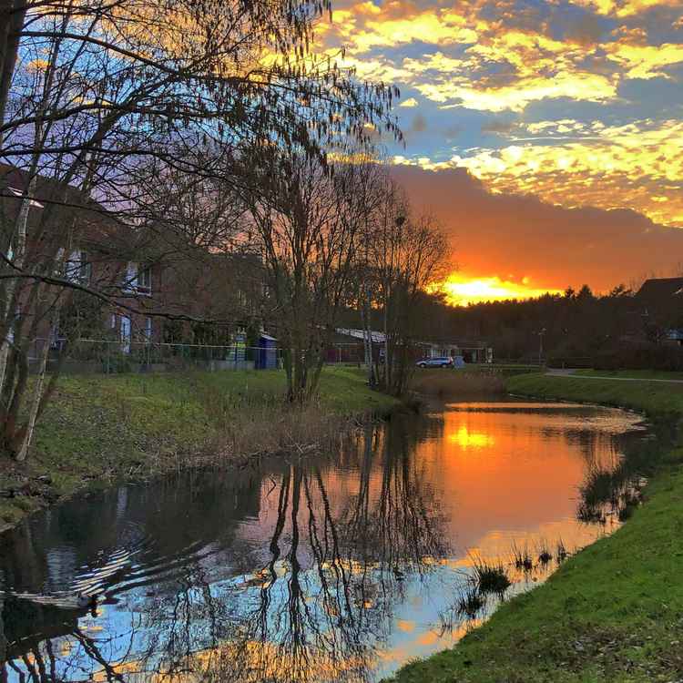 Abendstimmung im Februar