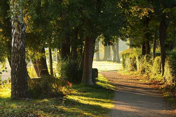 Sonniger Morgen