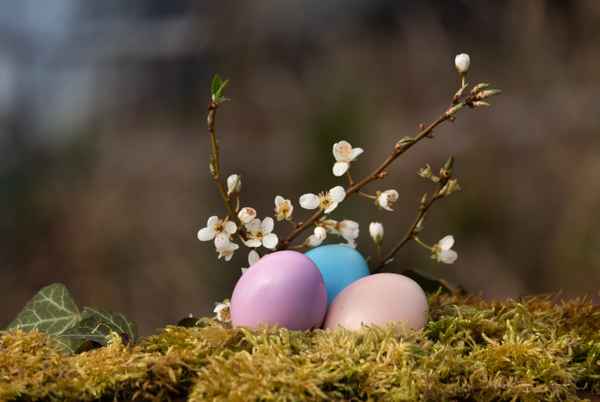 Ostergrüße...2