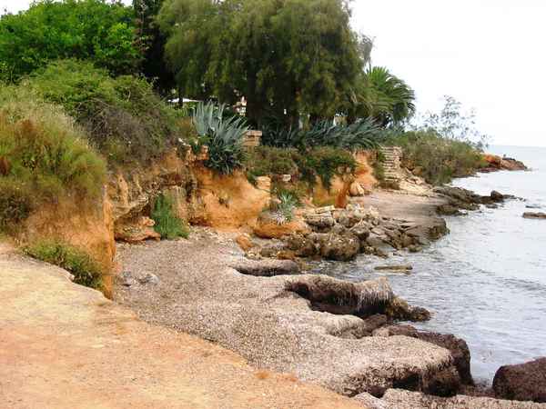 unberührte Natur Mallorca`s
