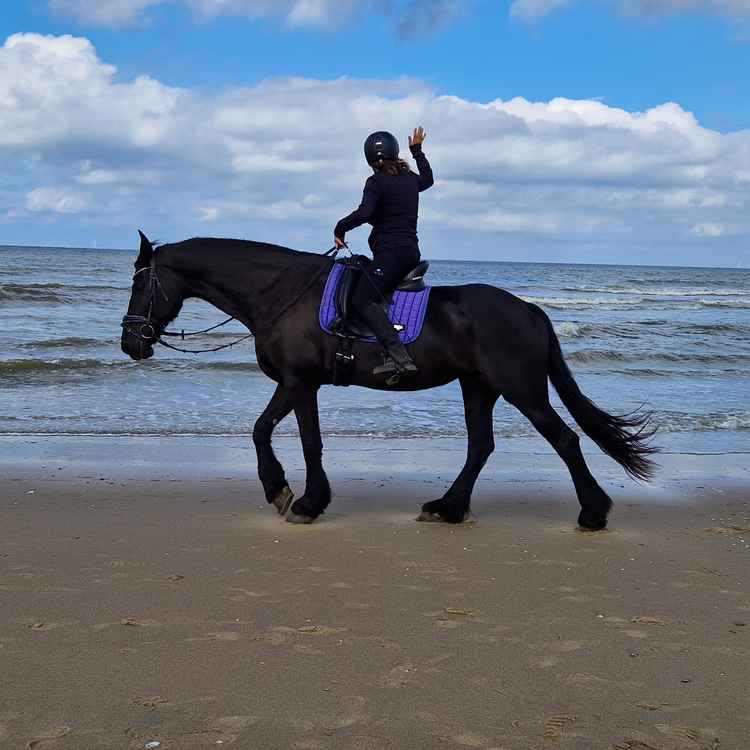 abendlicher Ausritt am Strand