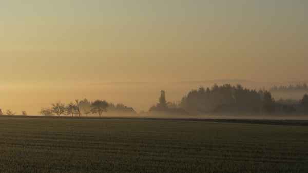 Nebel im Ohrenbachtal