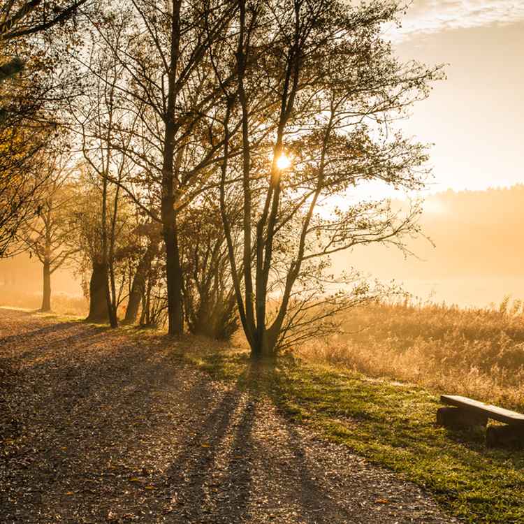 November kann auch anders