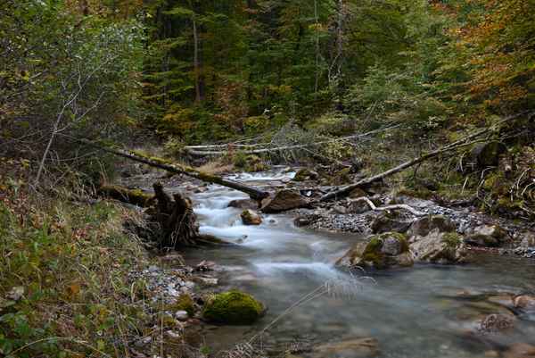 Bergbach im Herbst
