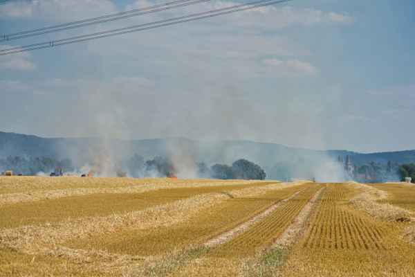 Flächenbrand auf einem Weizenfeld