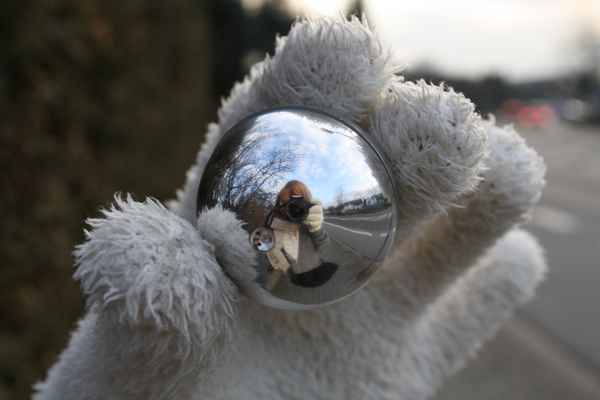 fisheye