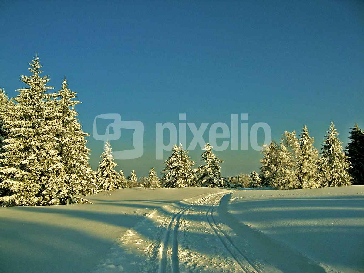 Abendloipe