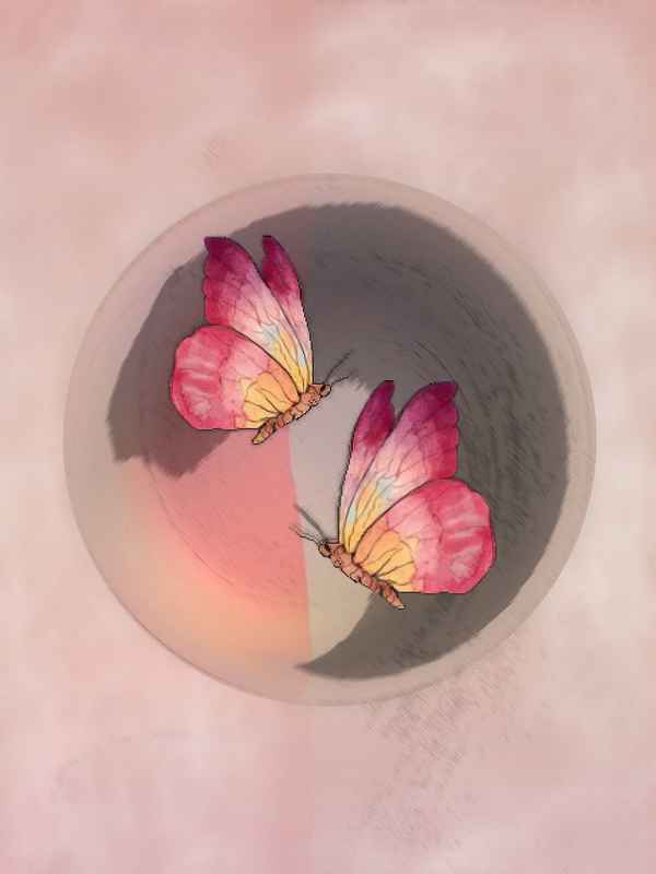 Schmetterlinge