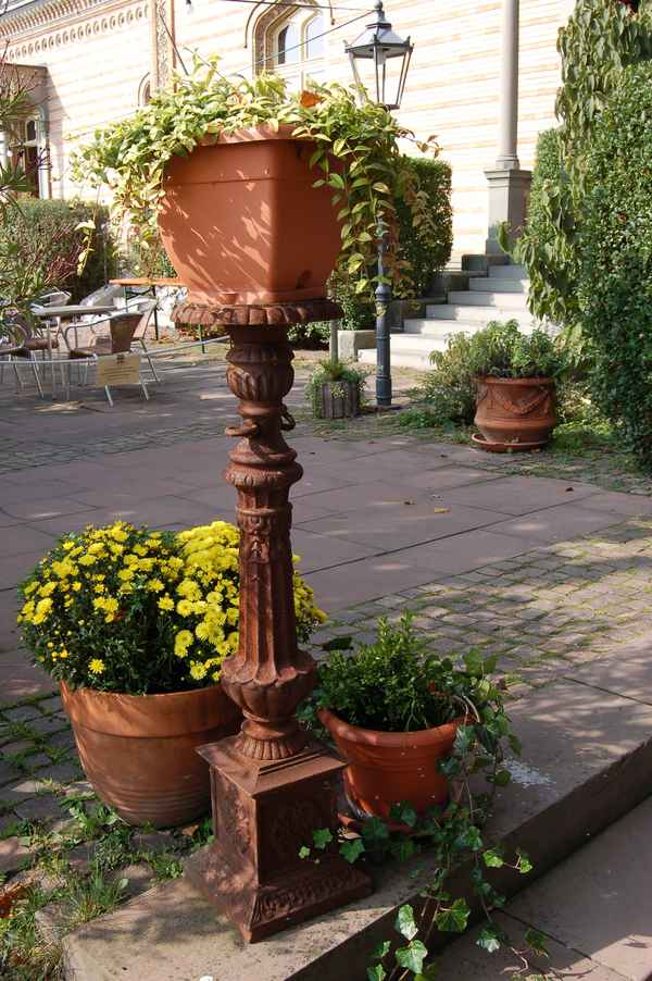 Pflanzenarrangement vor Schloss Montfort in Langenargen