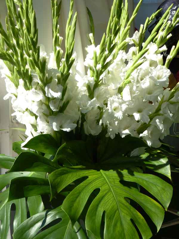 Blumenschmuck weiss-grün