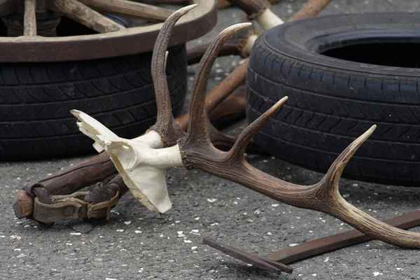 Gefahr auf  der Strasse