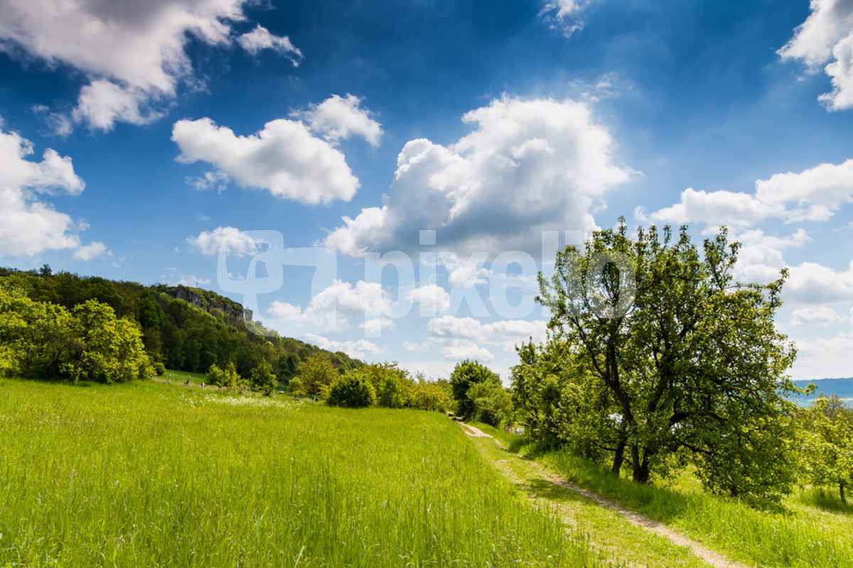 Maiwanderung