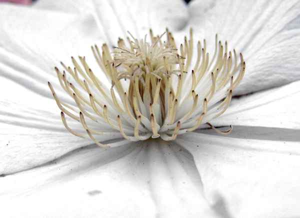 Schöne  Kleinigkeiten