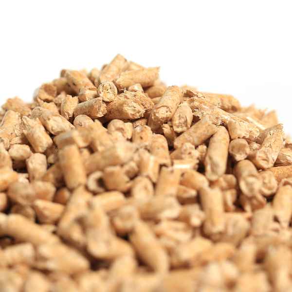 Holzpellets: Der umweltschonende Brennstoff