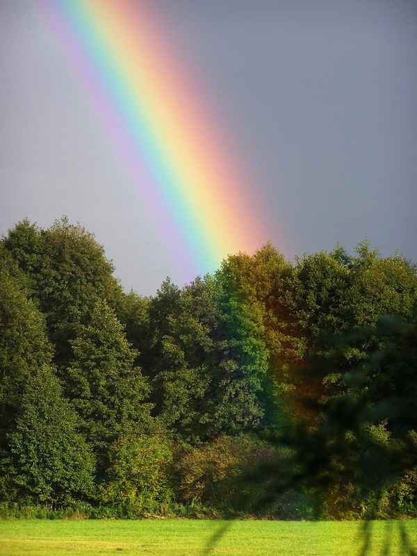 Nur ein Stück ... Regenbogen